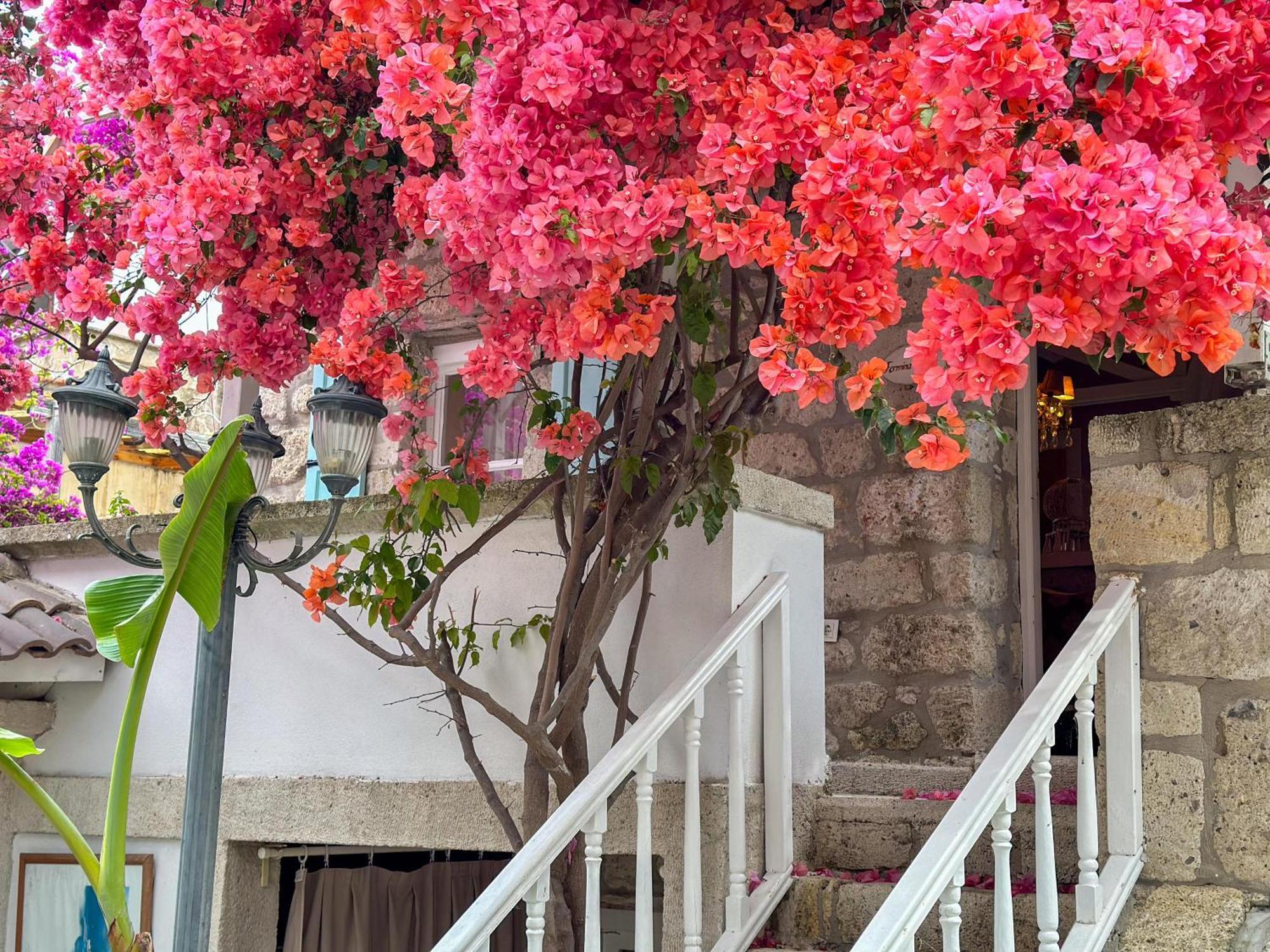 Erendira Hotel - Special Category Alaçatı Exterior foto